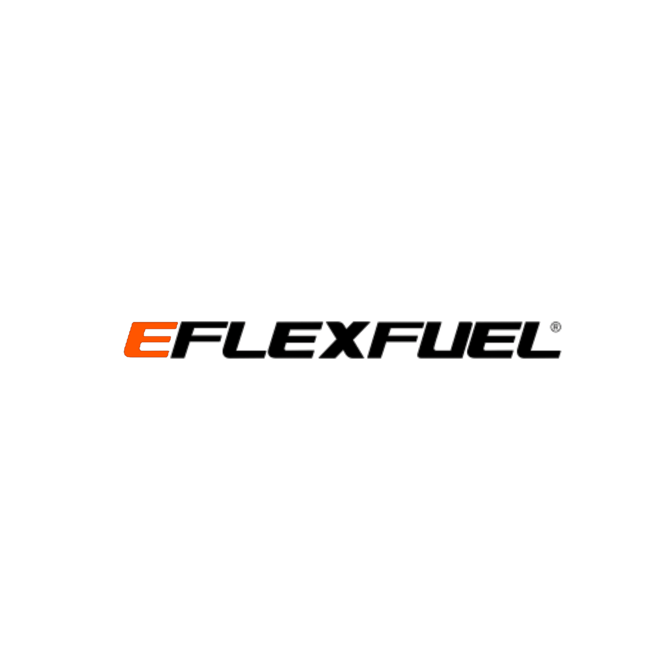 eFlexFuel - Lunaticsco