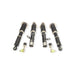 BC Racing BR Series Coilovers Toyota Cressida MX83 89 - 92 (14K/10K) - Lunaticsco