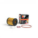 K&N Performance Gold Oil Filter, 16-24 Lexus IS300 3.5L V6, 10-24 Toyota 4Runner 4.0L V6 - Lunaticsco