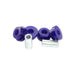 SuperPro Rear Toe Control Arm Inner Bushing Kit Lexus IS300/GS/SC (SPF2786K) - Lunaticsco