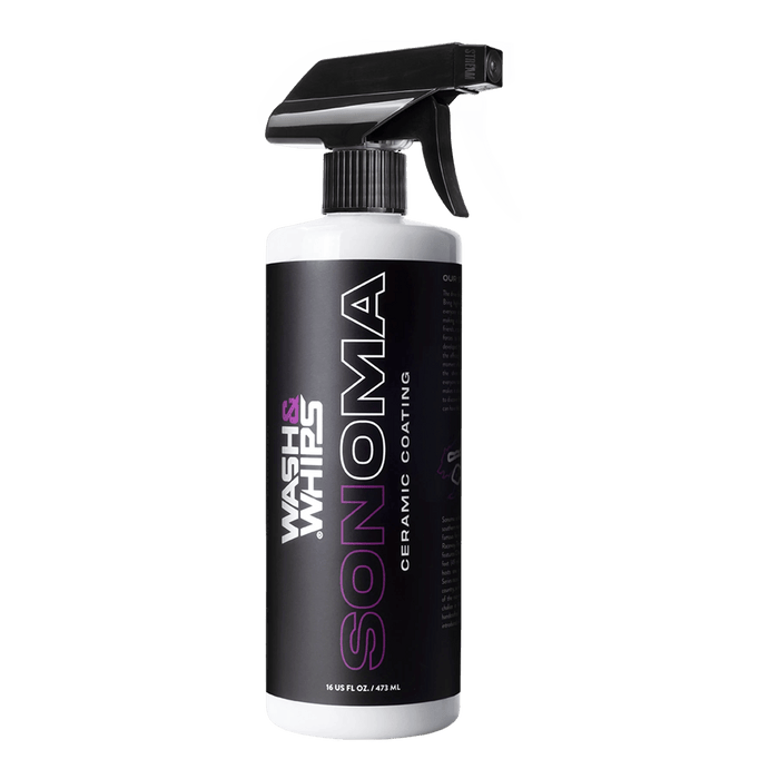 WASH&WHIPS MotoPro Motorcycle Detailing Kit - Bug Remover, Leather Care, Ceramic Spray - LunaticsCo