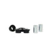 Whiteline Rear Control Arm Bushing Kit (Lower Front Inner) - 01-05 Lexus IS300 - Lunaticsco