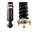 BC Racing BR Series Coilovers for 1992-2000 Lexus SC300 (JZZ30) - Lunatics