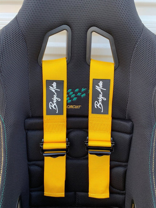 Bridge Moto's FIA Four Point Harness - Lunatics